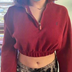 polo cropped sweater